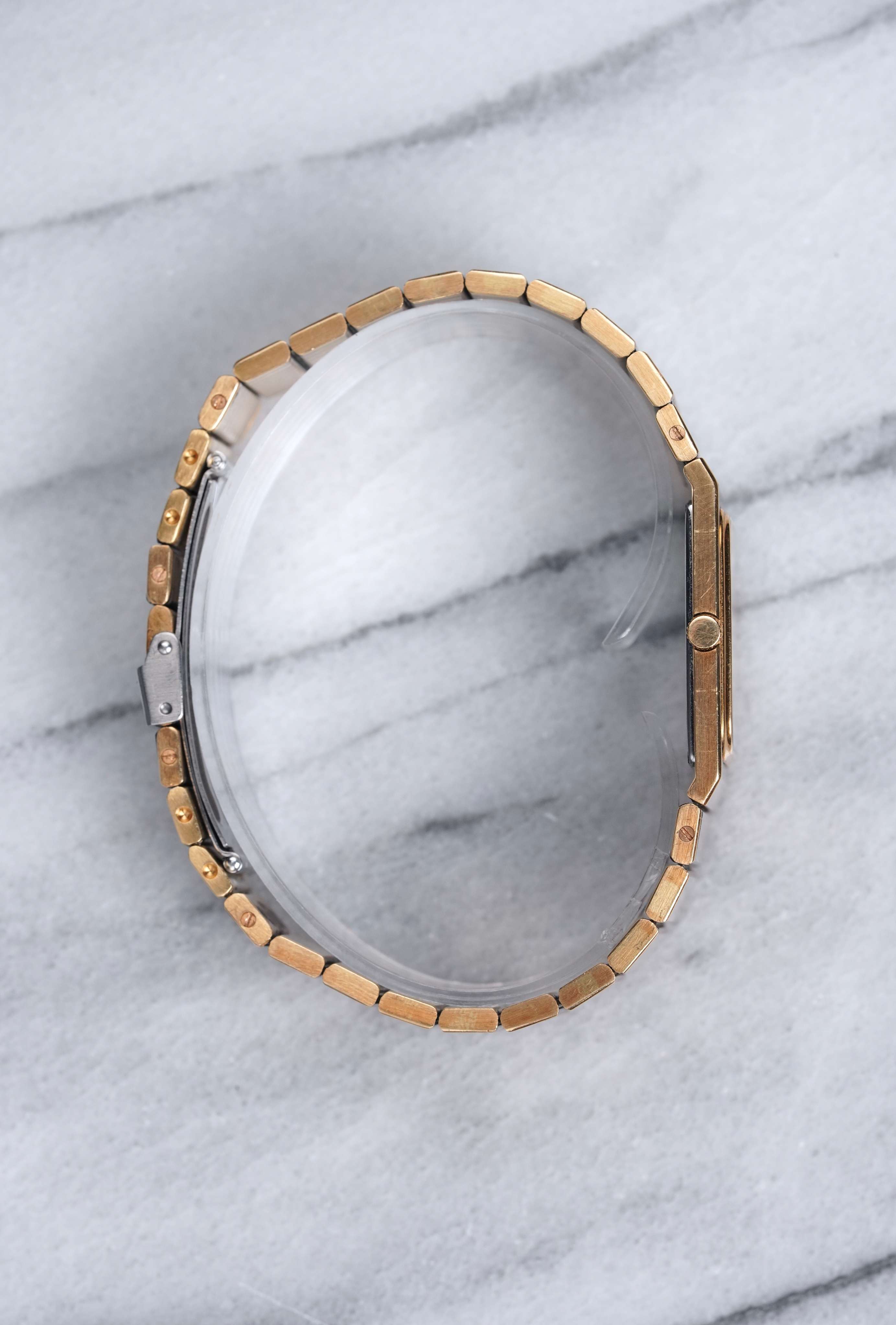 Audemars Piguet – Two Tone Zebra