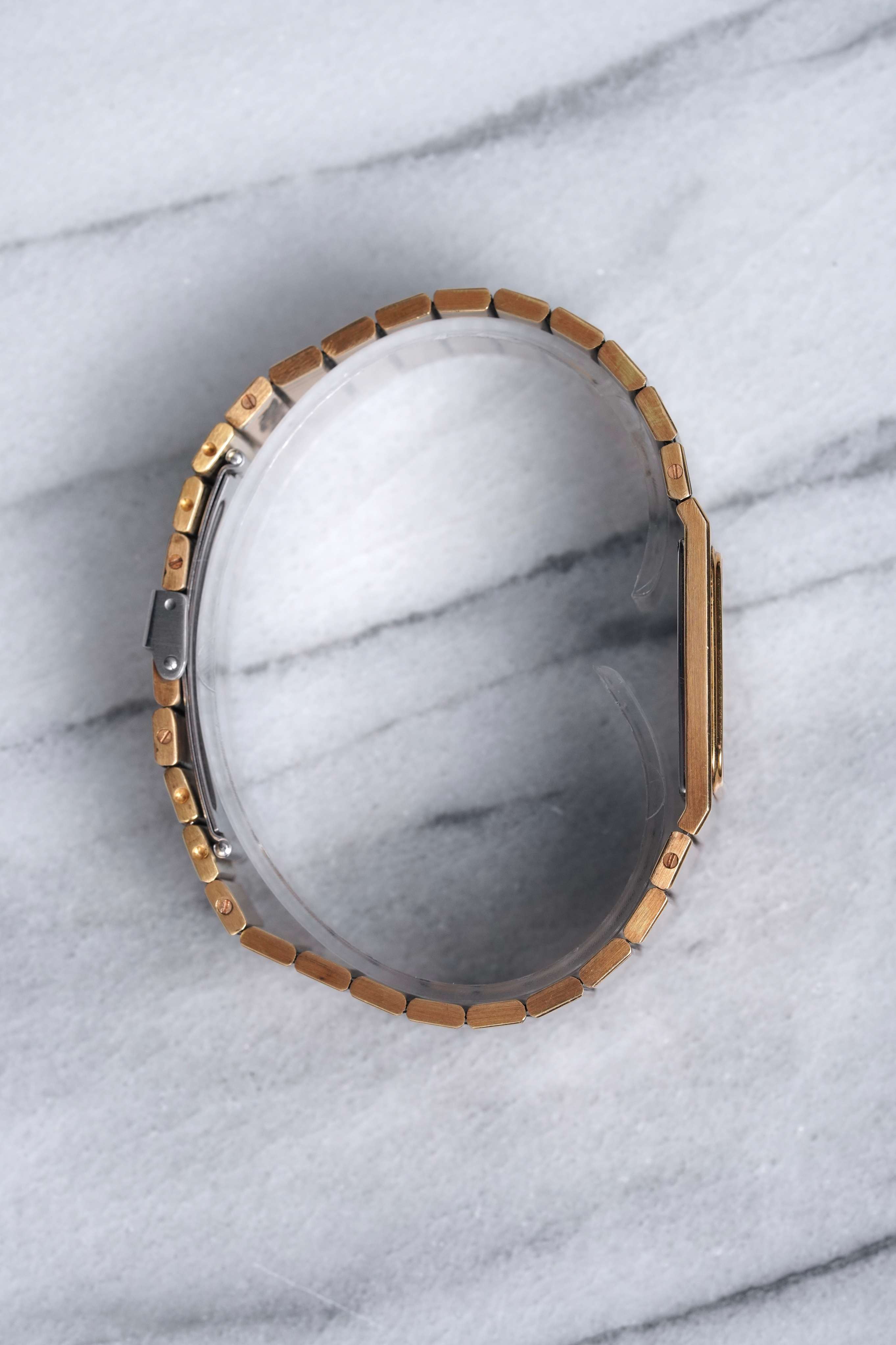 Audemars Piguet – Two Tone Zebra