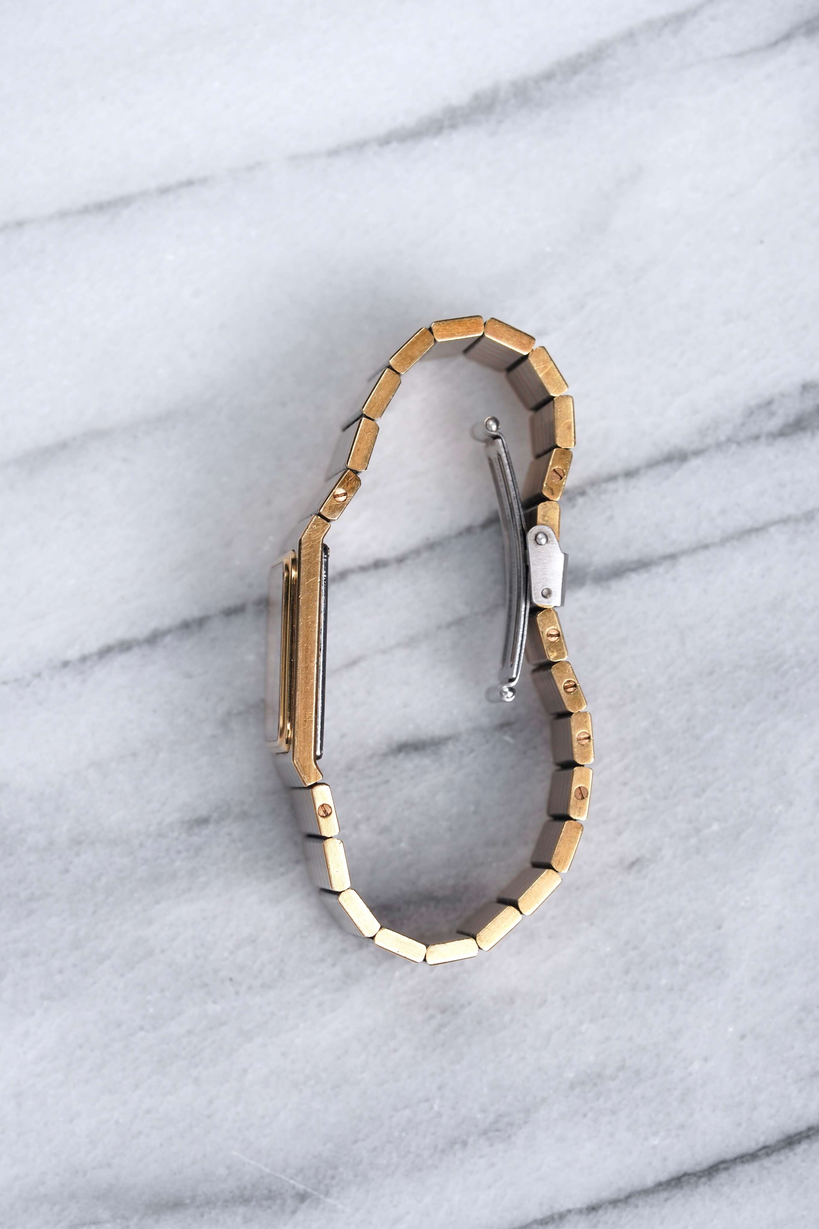 Audemars Piguet – Two-Tone Zebra