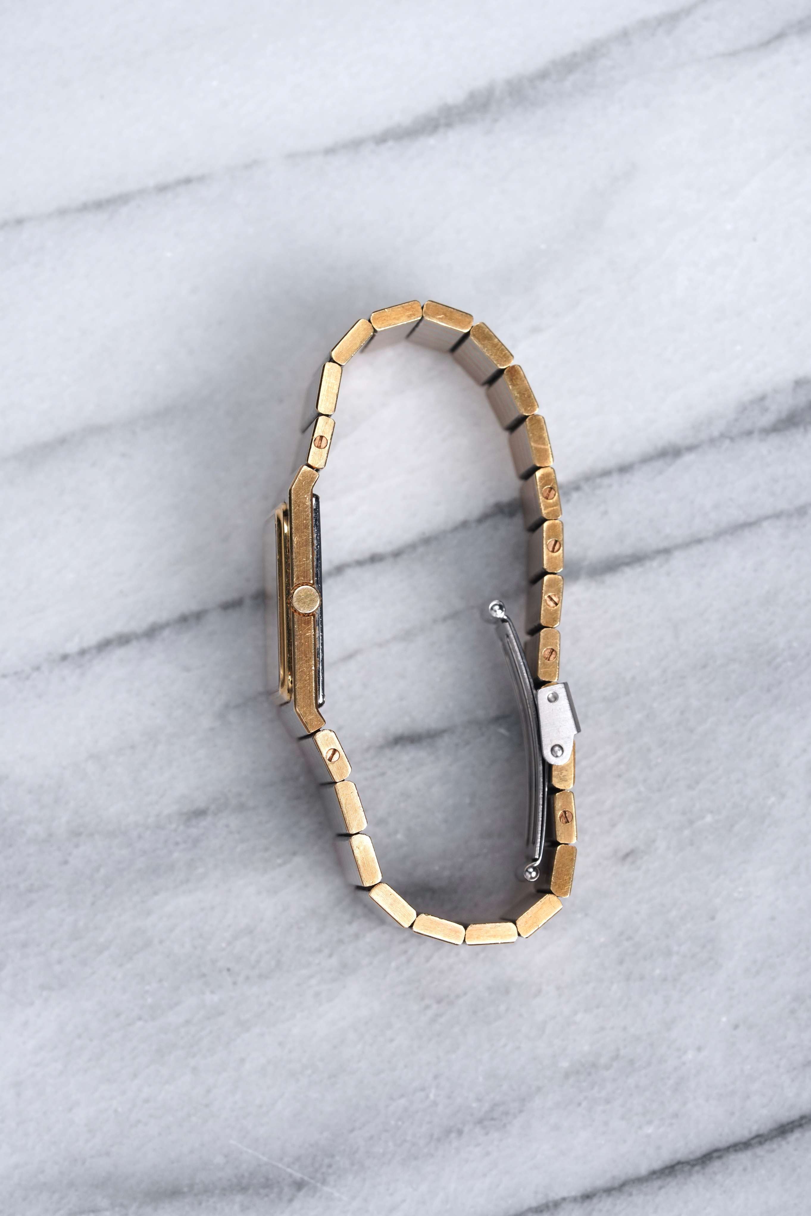 Audemars Piguet – Two-Tone Zebra