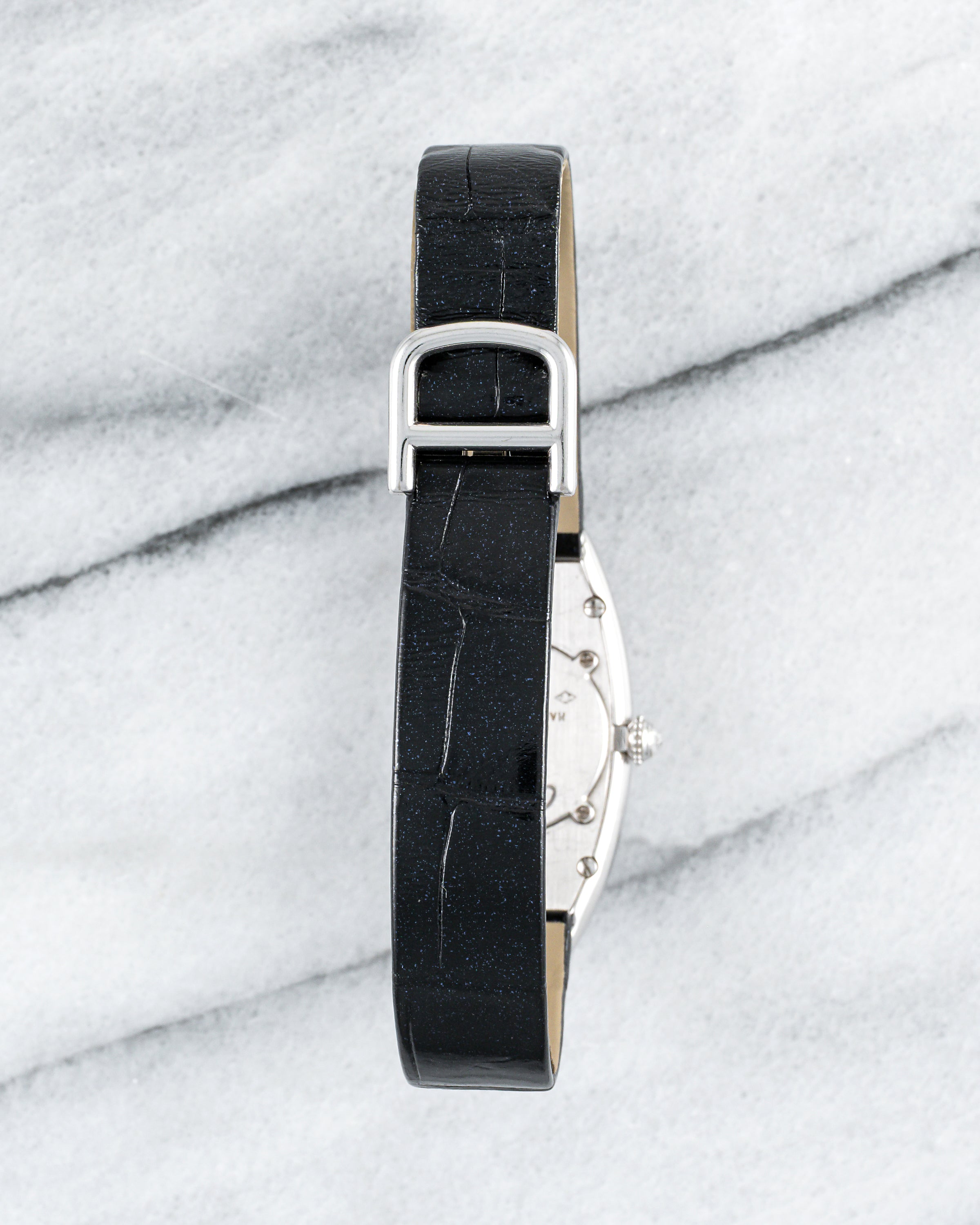 Cartier Baignoire Allongee - Sapphire Diamond Pave