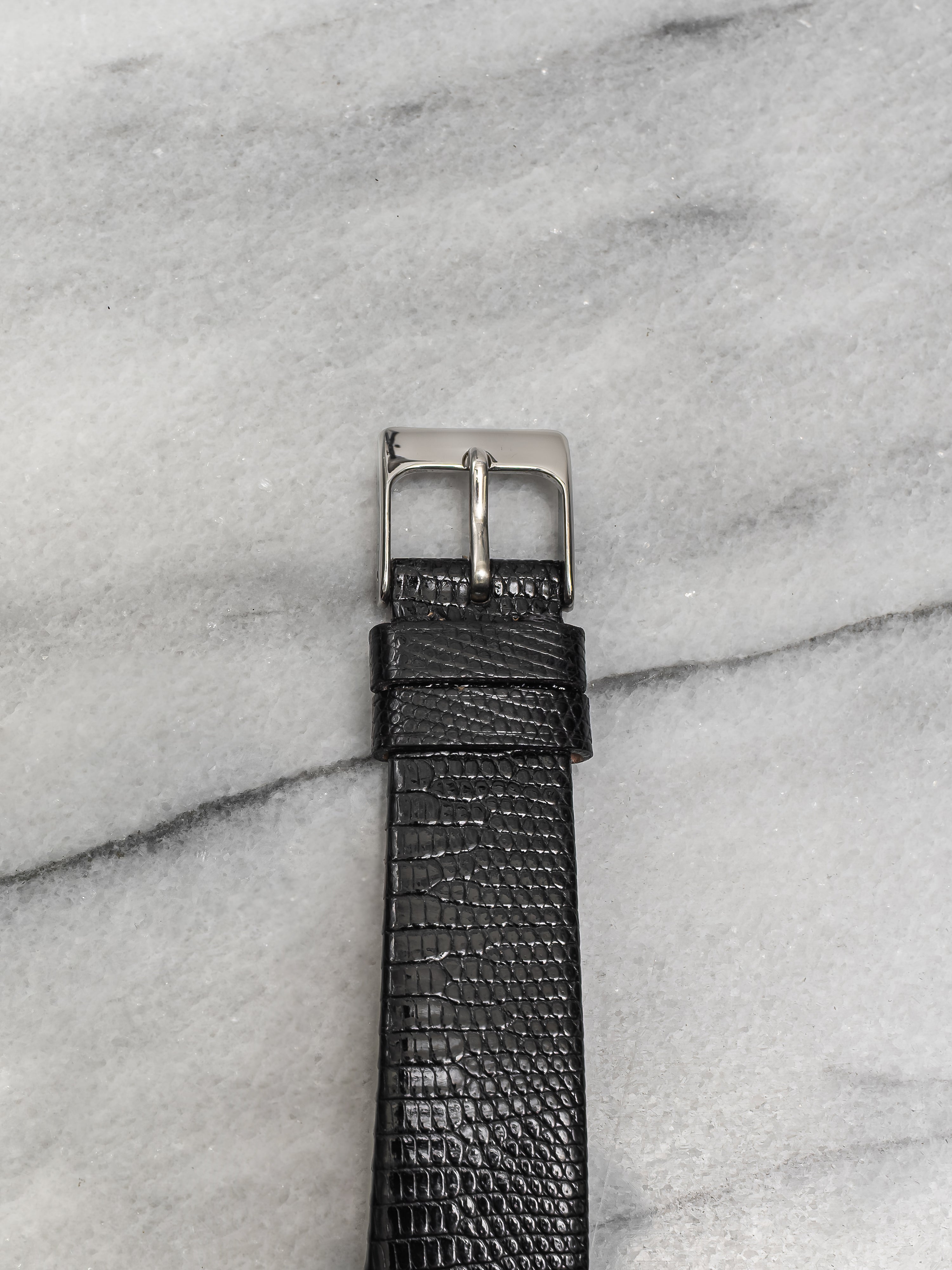 Audemars Piguet TV Case – Blue Dial