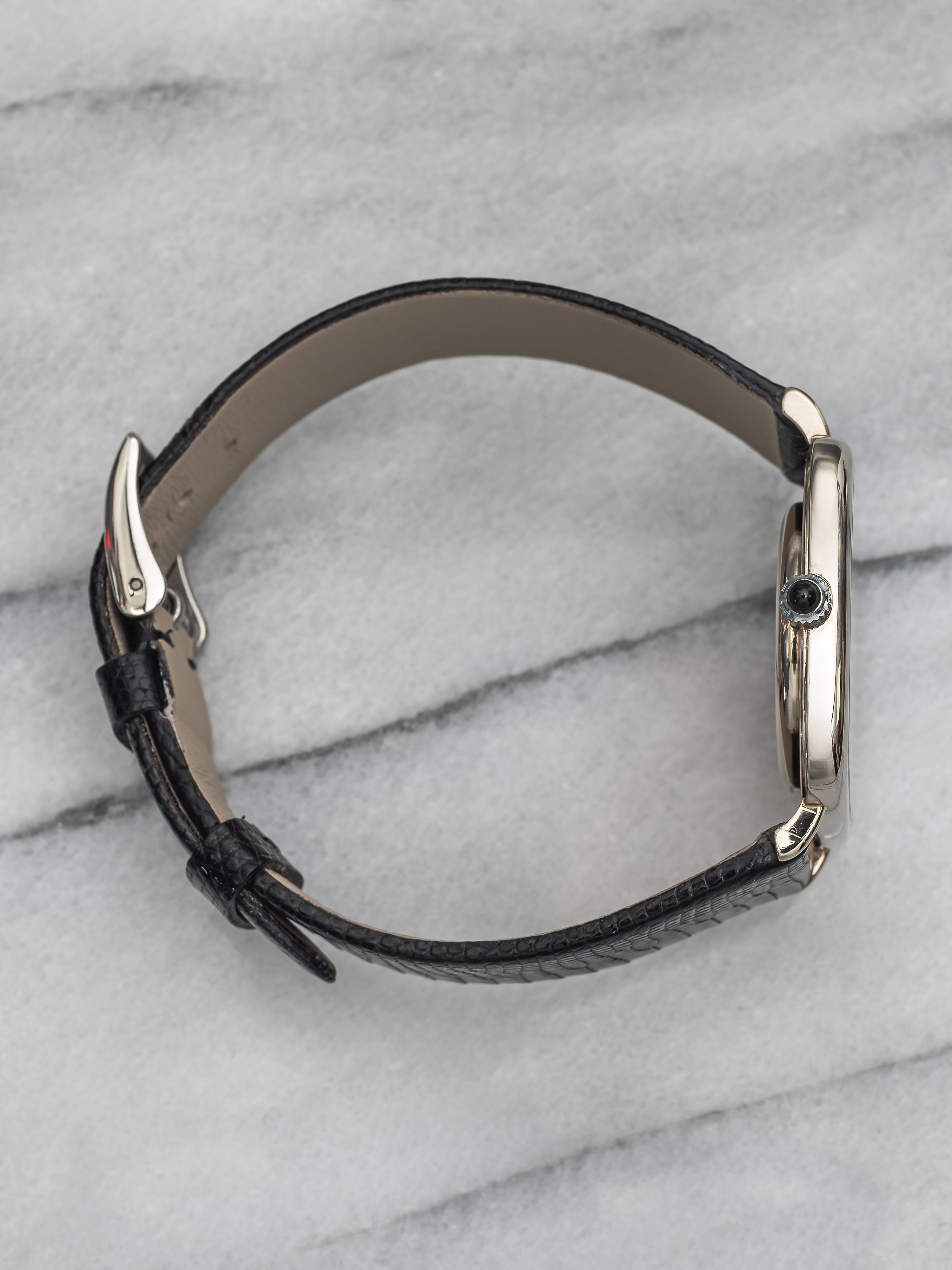 Audemars Piguet TV Case – Blue Dial