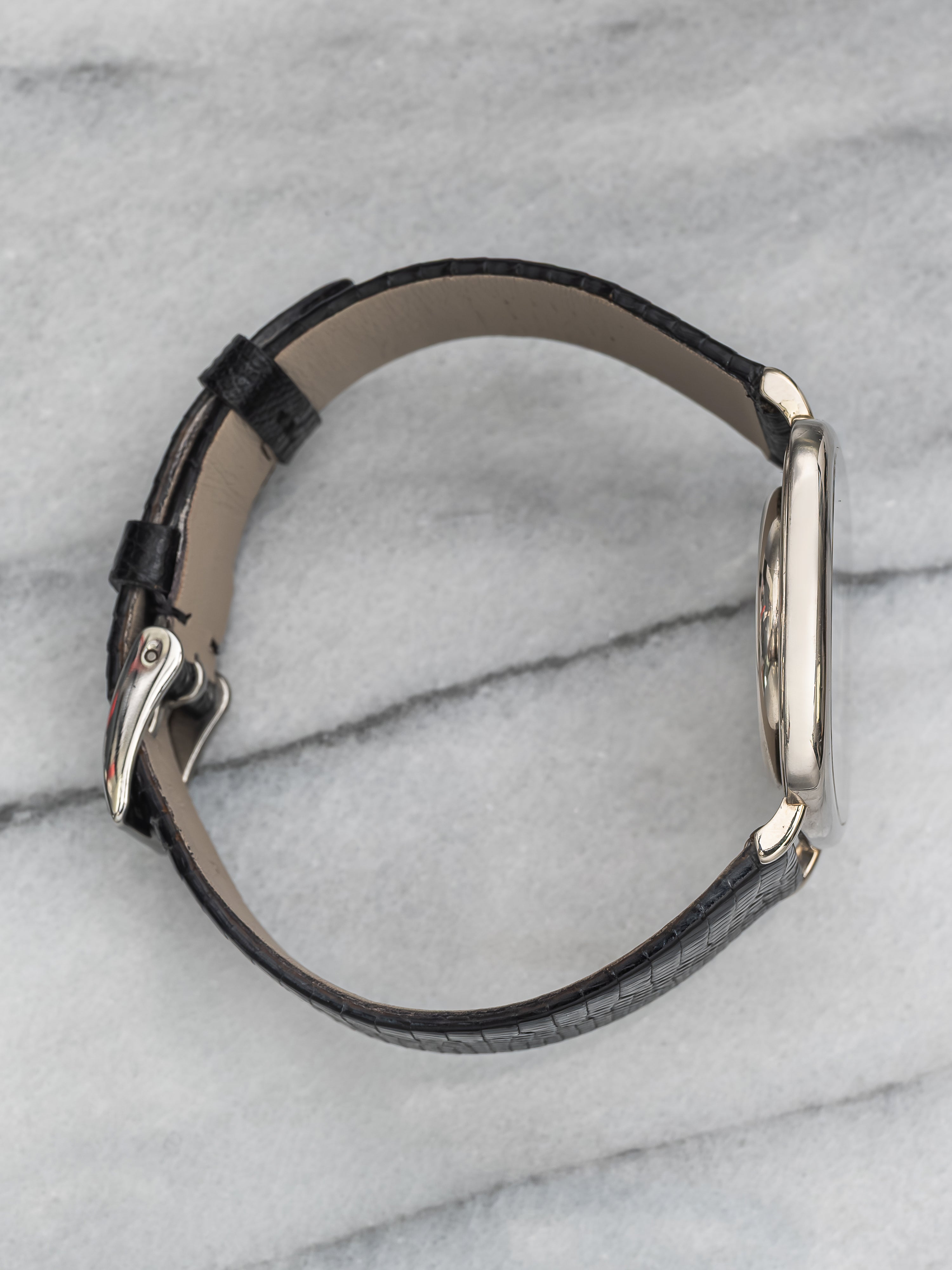 Audemars Piguet TV Case – Blue Dial