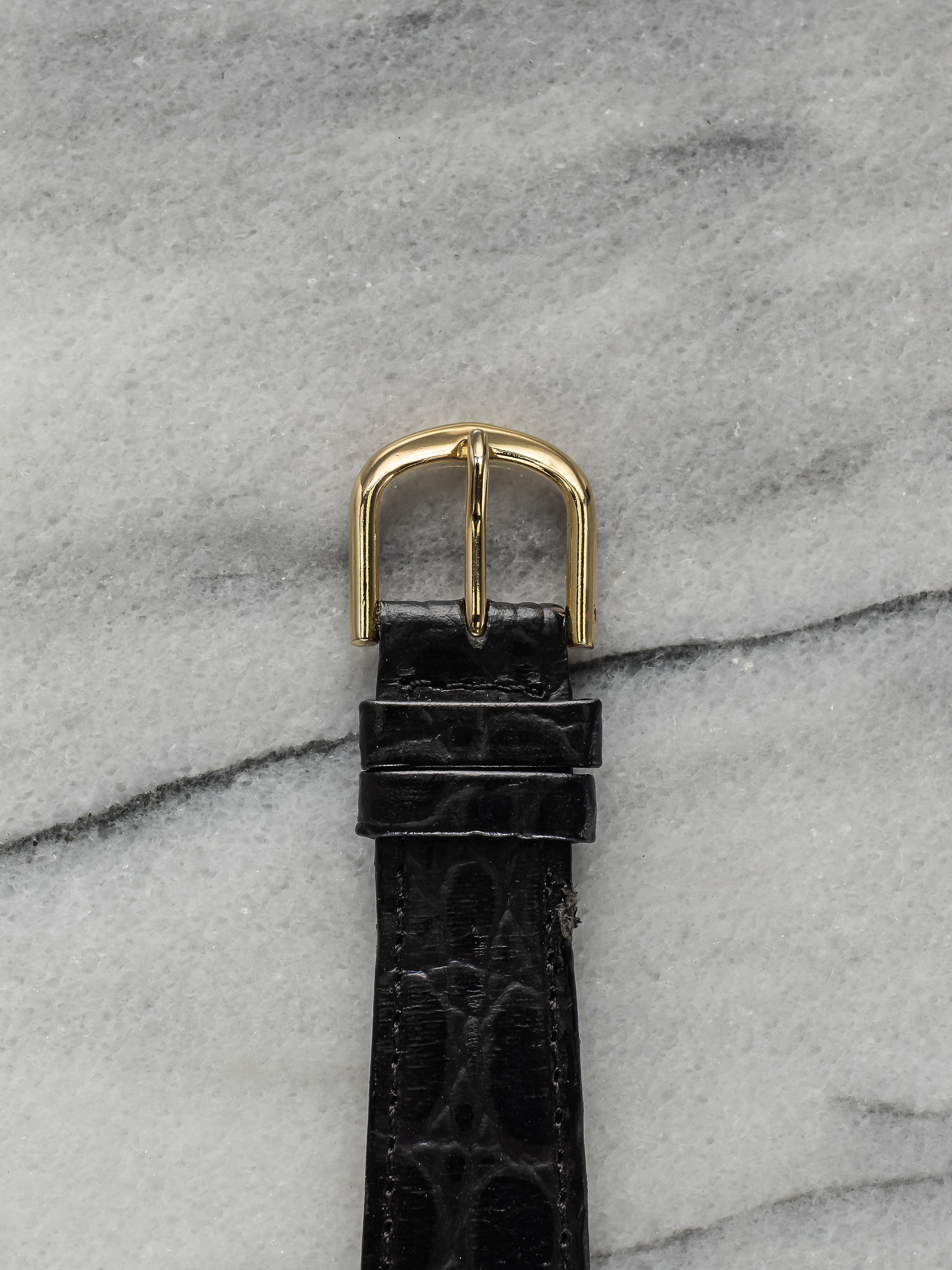 Audemars Piguet – TV Case
